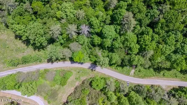 379 Maple Springs Rd, Reliance, TN 37369 - #1