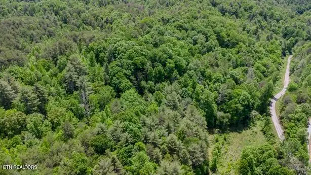379 Maple Springs Rd, Reliance, TN 37369 - #2