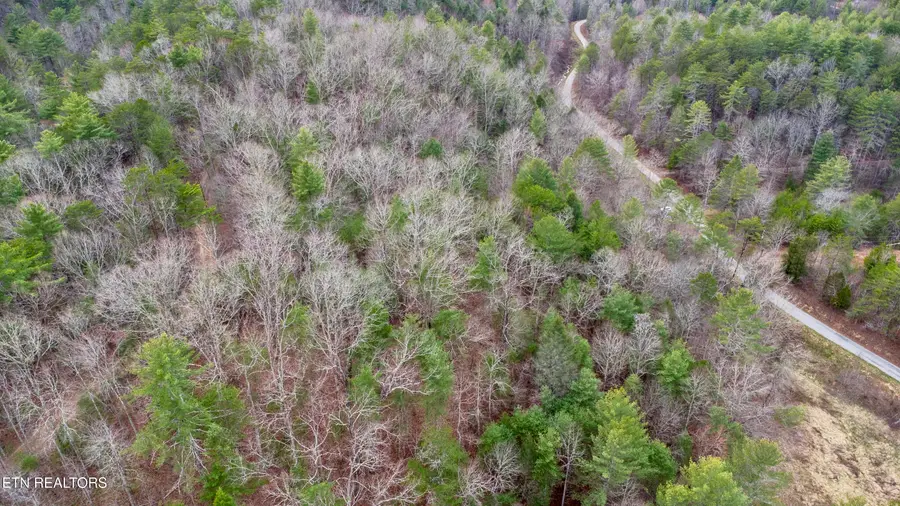 379 Maple Springs Rd, Reliance, TN 37369 - #3