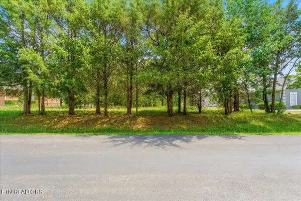 115 Eladi Tr, Vonore, TN 37885