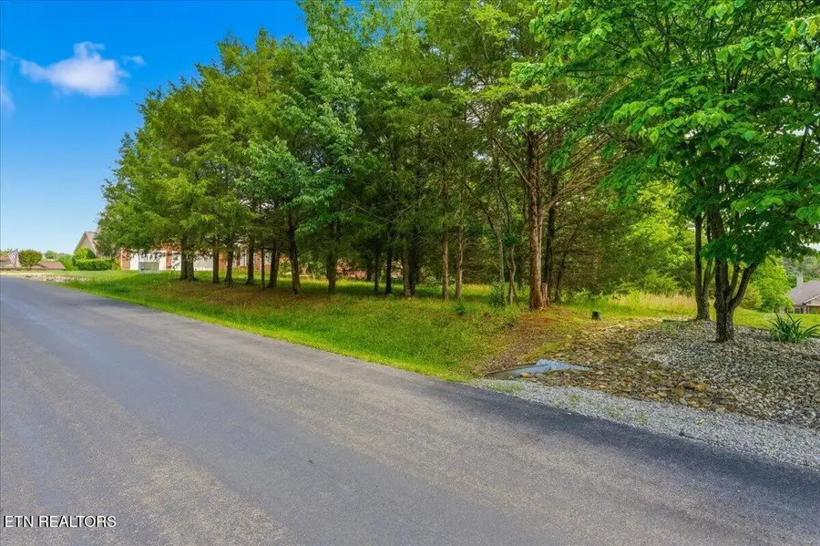 115 Eladi Tr, Vonore, TN 37885 - #2