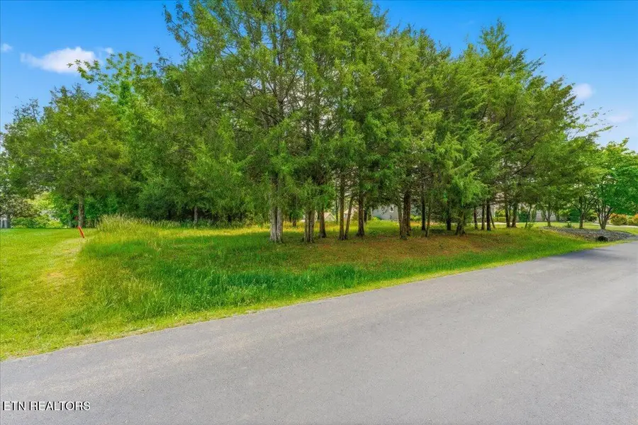 115 Eladi Tr, Vonore, TN 37885 - #3