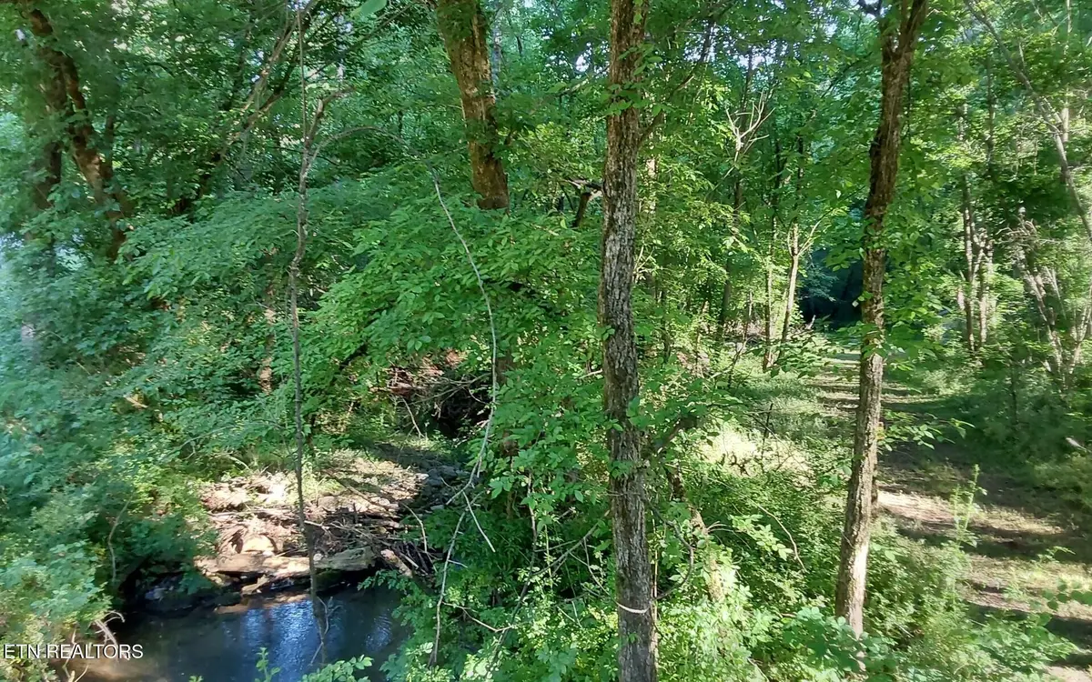 358 County Road 580, Athens, TN 37303 - #1