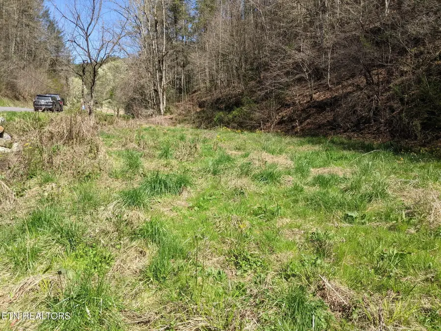 760 Black Branch Rd, Del Rio, TN 37727 - #3