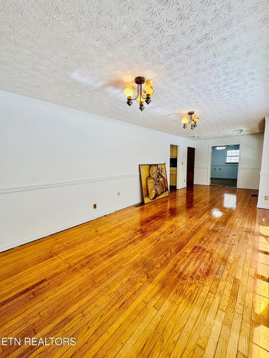 117 Coon Hunters Rd, Wartburg, TN 37887 - #3