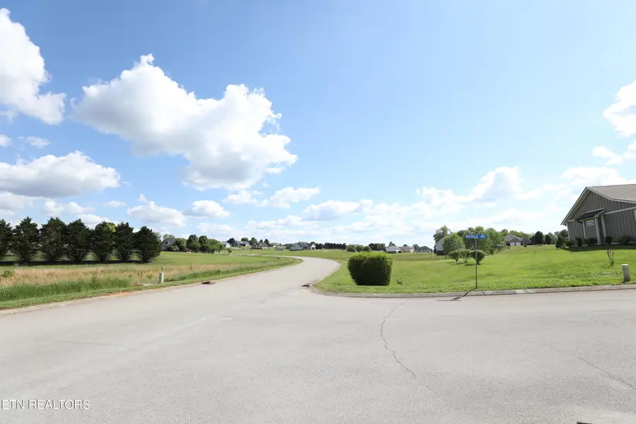 LOT 1 Magnolia Way, Madisonville, TN 37354 - #3
