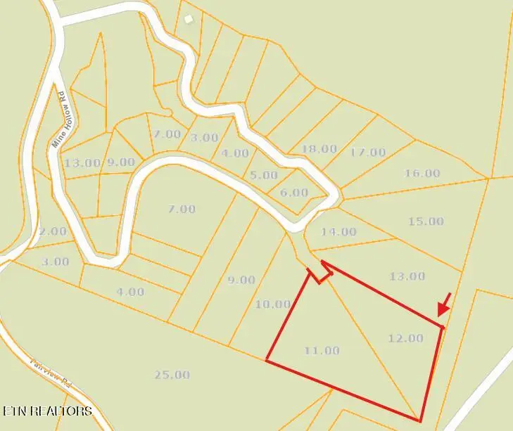 251 Mine Hollow Rd, Reliance, TN 37369 - #1