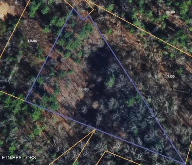 251 Mine Hollow Rd, Reliance, TN 37369 - #2