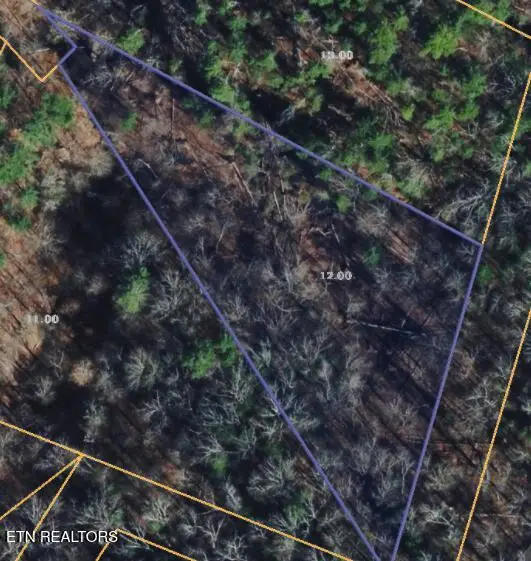 251 Mine Hollow Rd, Reliance, TN 37369 - #3