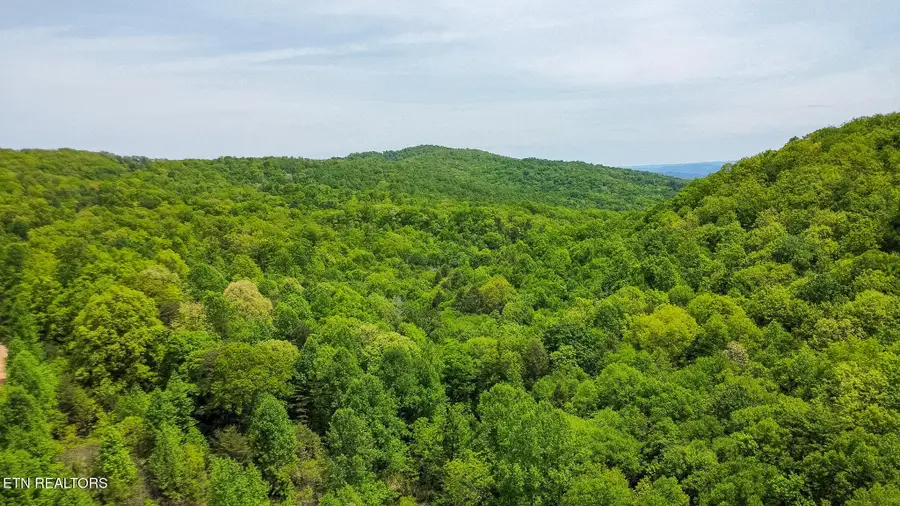 Short Moutain Rd, Sneedville, TN 37869 - #3