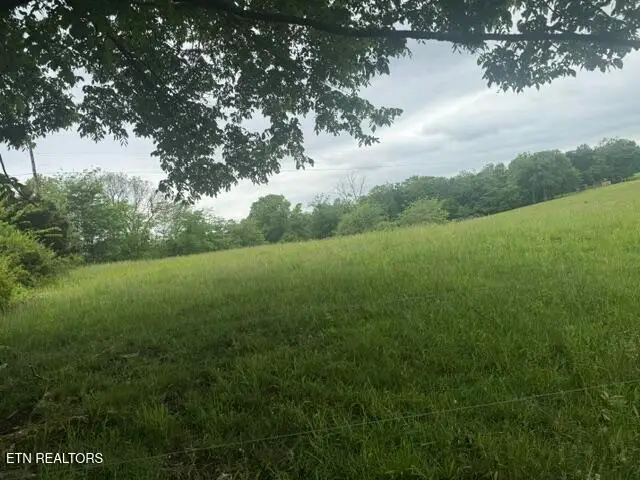1717 Boyd Rinehart Rd, Clarksville, TN 37043 - #3