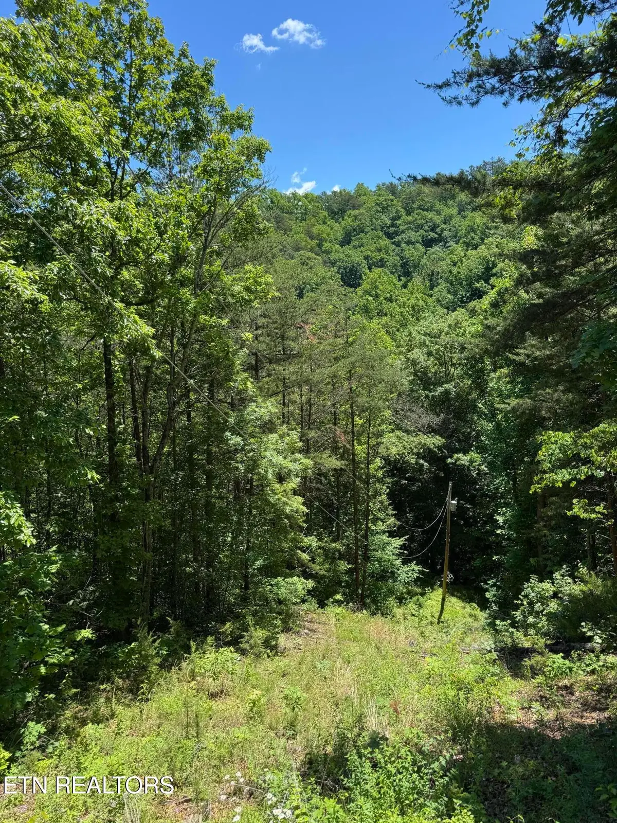 2313 High View Rd, Sevierville, TN 37876 - #1