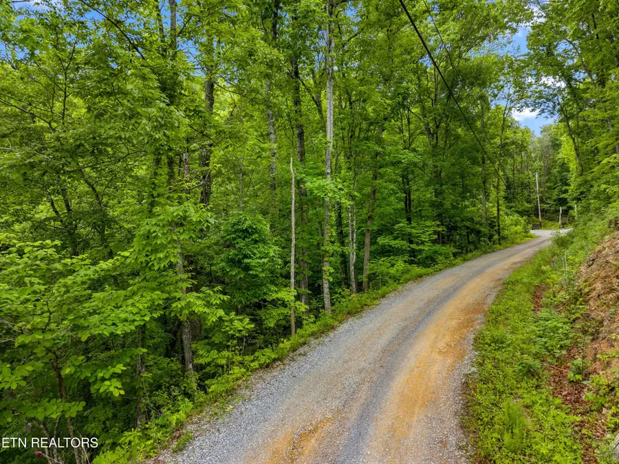 Red Bone Way, Sevierville, TN 37876 - #2