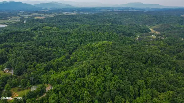 Looney Rd, Parrottsville, TN 37843