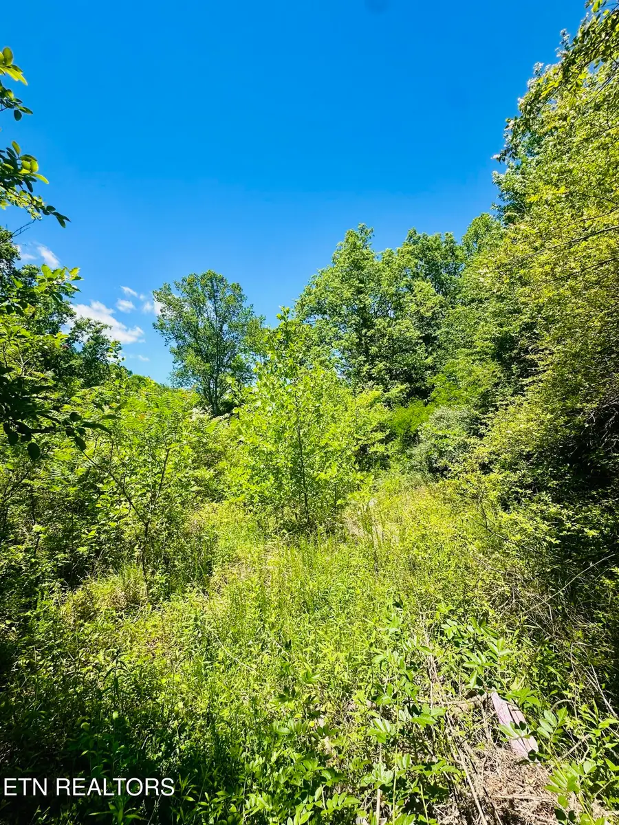 Stoney Fork Rd #141 020.00, Caryville, TN 37714 - #2
