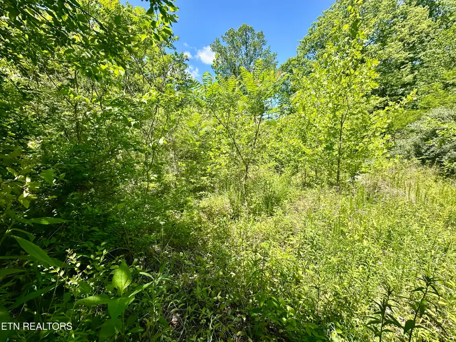 Stoney Fork Rd #141 020.00, Caryville, TN 37714 - #3