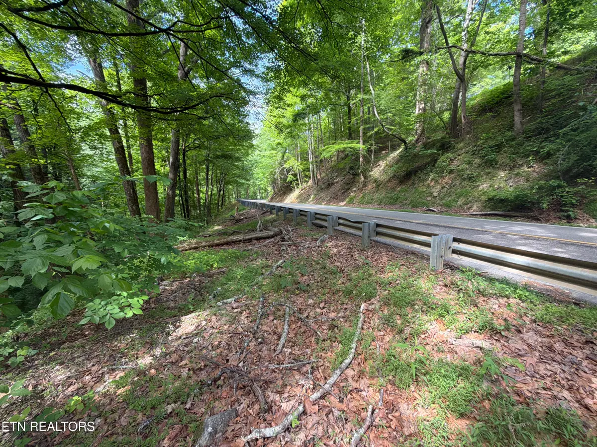 Wears Valley Rd Rd, Townsend, TN 37882 - #1