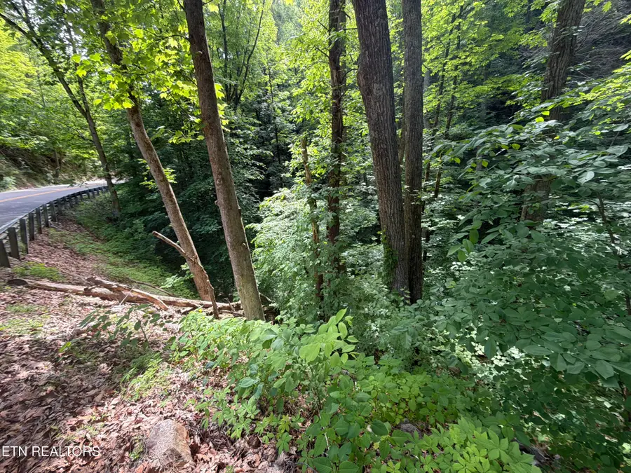 Wears Valley Rd Rd, Townsend, TN 37882 - #2