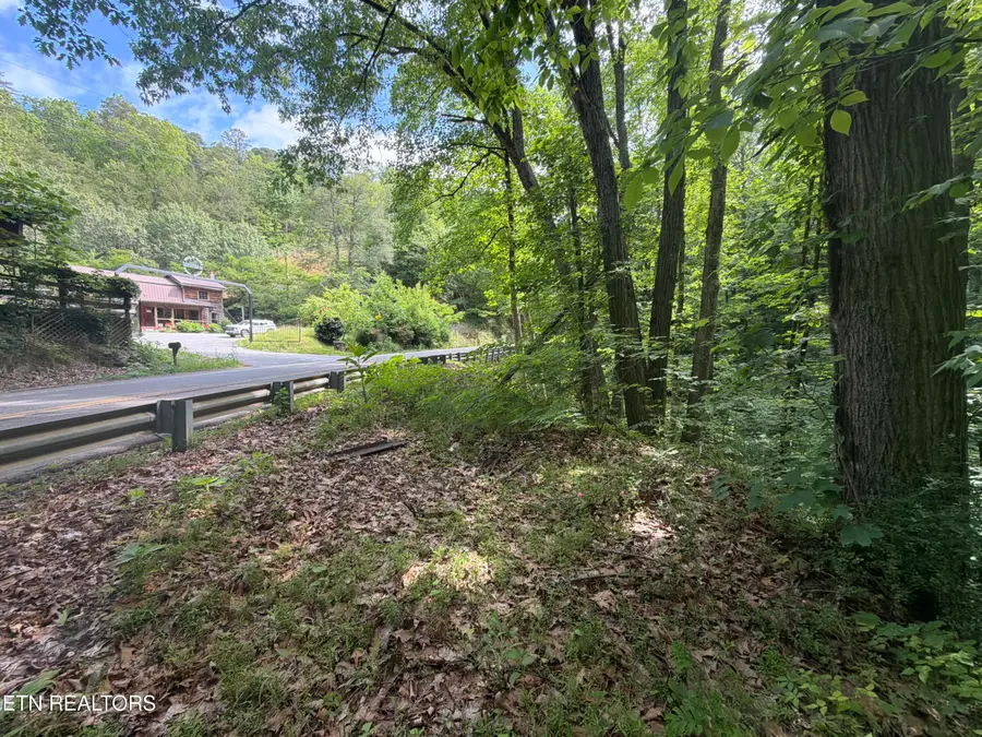 Wears Valley Rd Rd, Townsend, TN 37882 - #3
