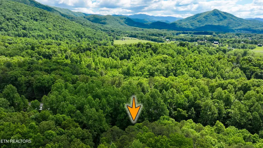 3435 Walker Lane, Sevierville, TN 37862 - #2