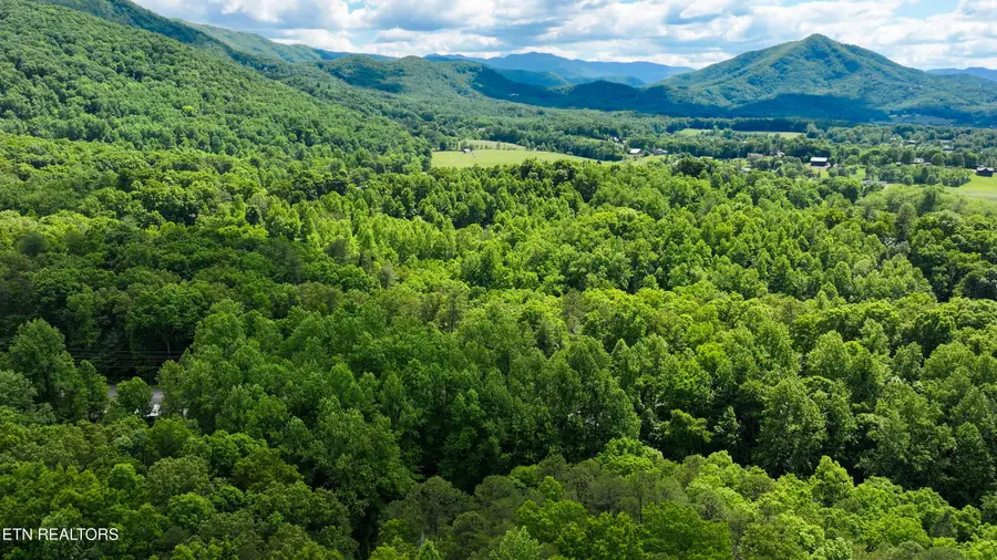 3435 Walker Lane, Sevierville, TN 37862 - #3