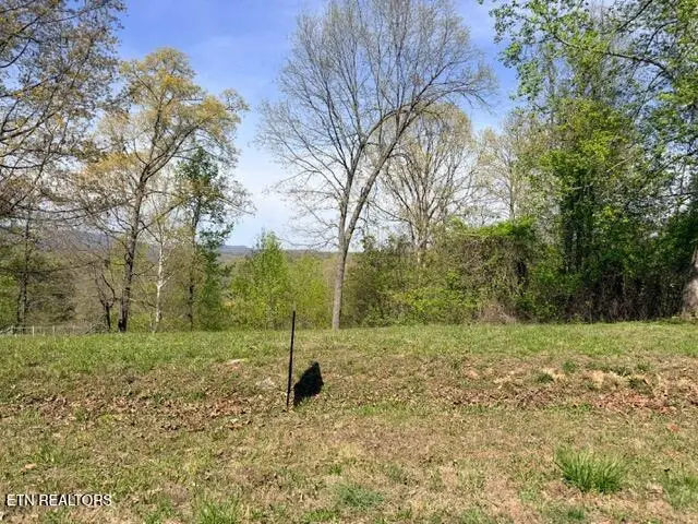 Lot 74 Saddleridge Drive, Speedwell, TN 37870 - #1
