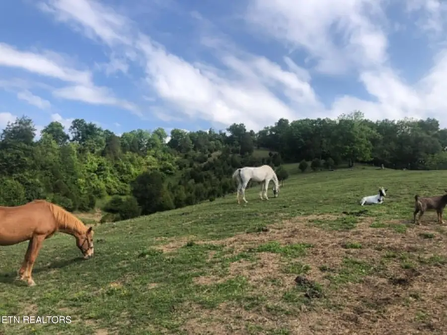 212 Bellebrook Rd, Bristol, TN 37620 - #3