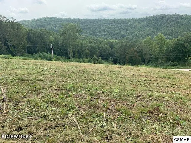 Mountain Way, Sharps Chapel, TN 37866 - #3