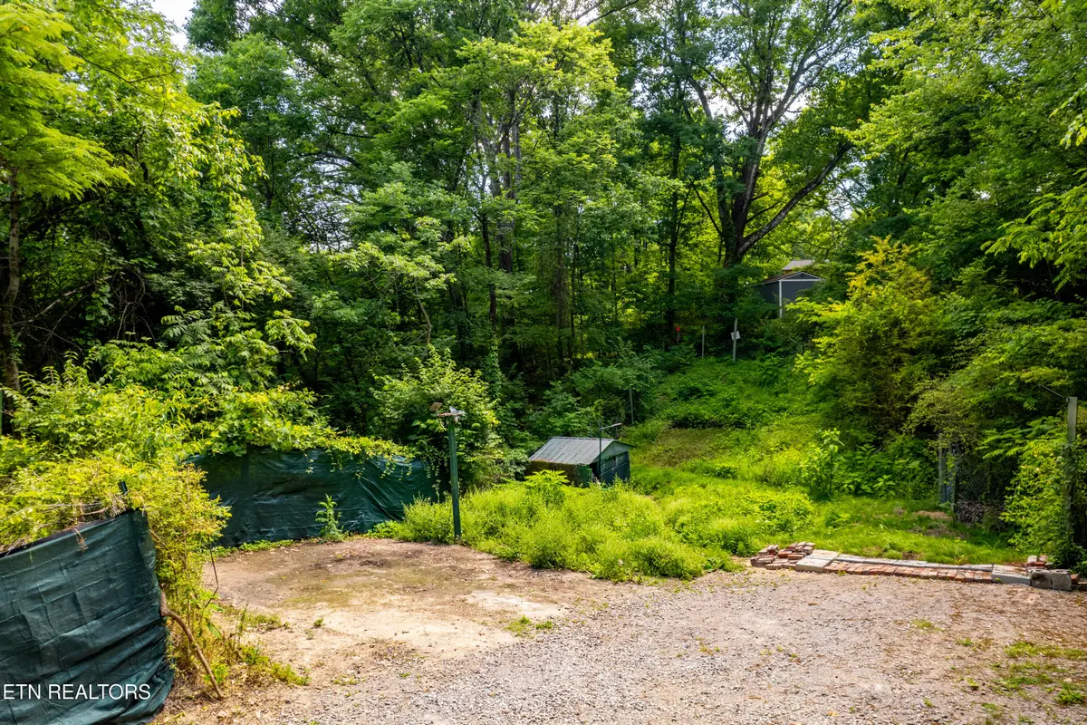 3411 Divide St, Knoxville, TN 37921 - #1