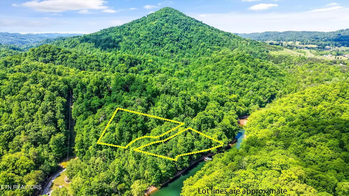 L-12 Mountain Shores Rd, New Tazewell, TN 37825 - #1