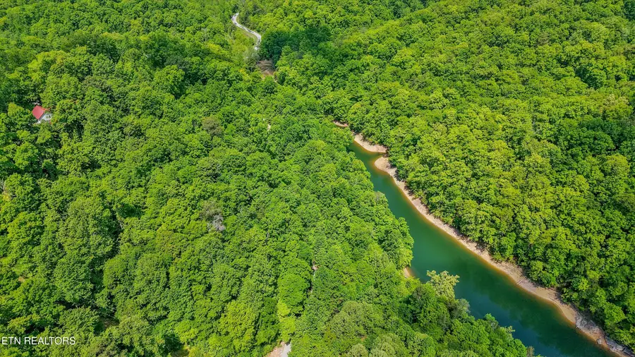 L-12 Mountain Shores Rd, New Tazewell, TN 37825 - #2