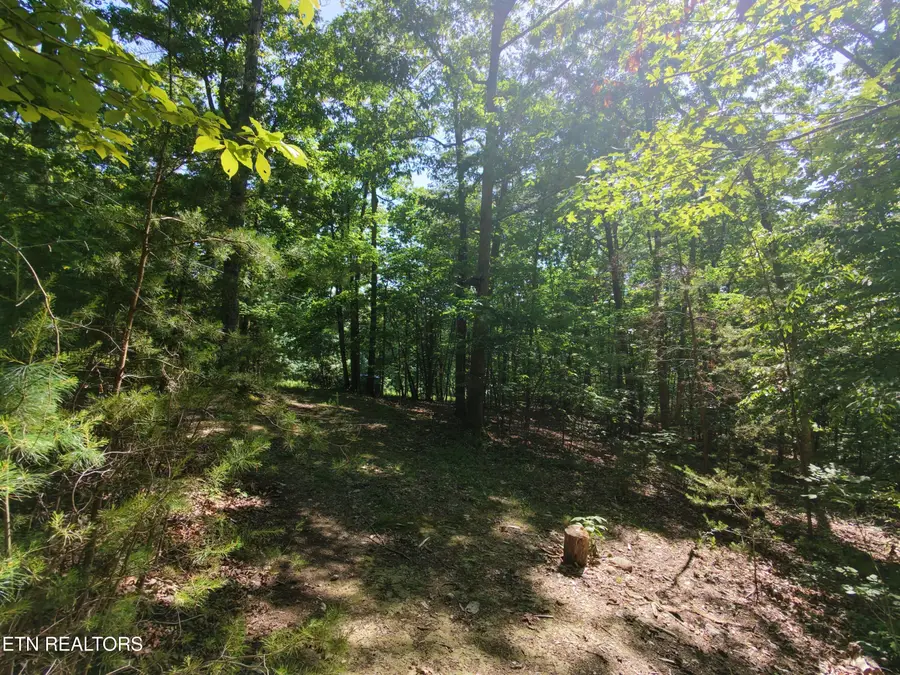 Boulder Way, Newport, TN 37821 - #3