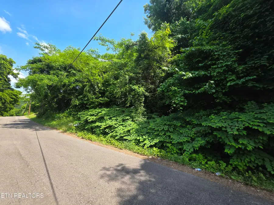 218 Shipman Drive, Knoxville, TN 37918 - #2
