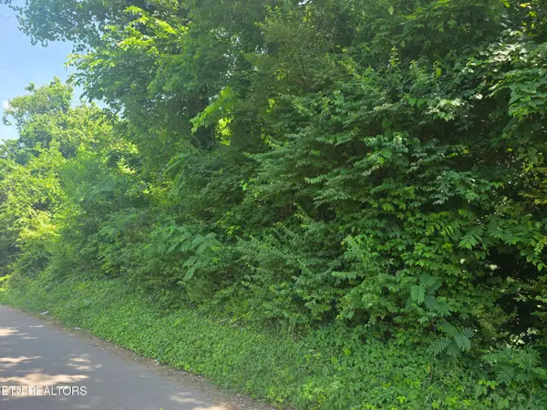 4020 Lilac Ave, Knoxville, TN 37914