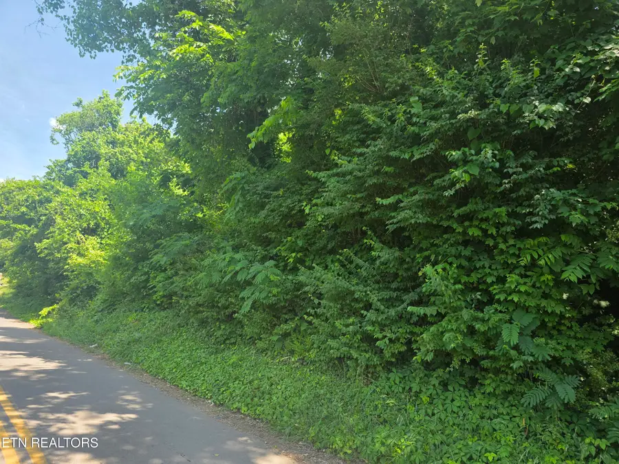 4020 Lilac Ave, Knoxville, TN 37914 - #2
