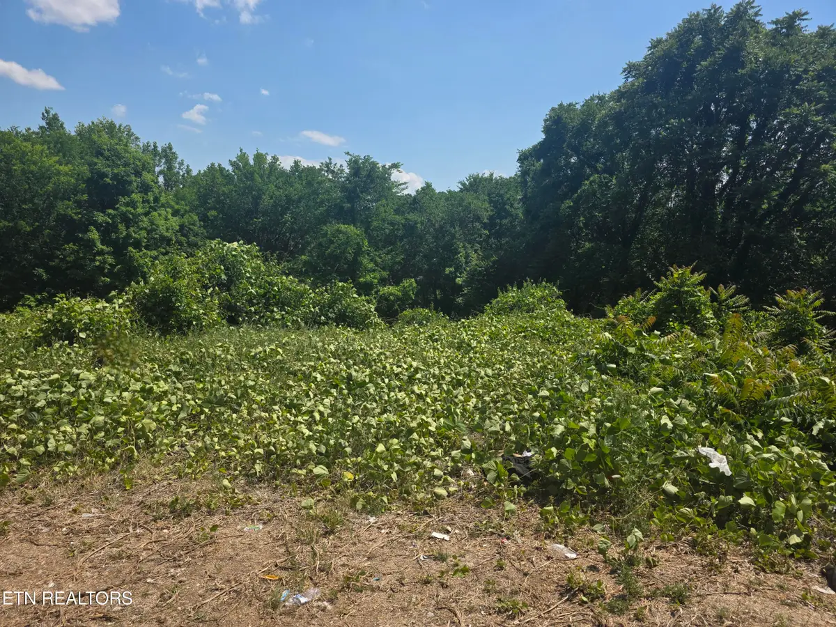 805 Beaman Lake Rd, Knoxville, TN 37914 - #1