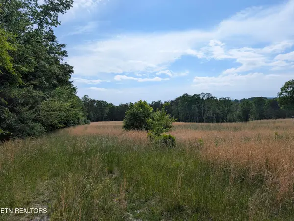 1615 Burdette Rd, Grandview, TN 37337