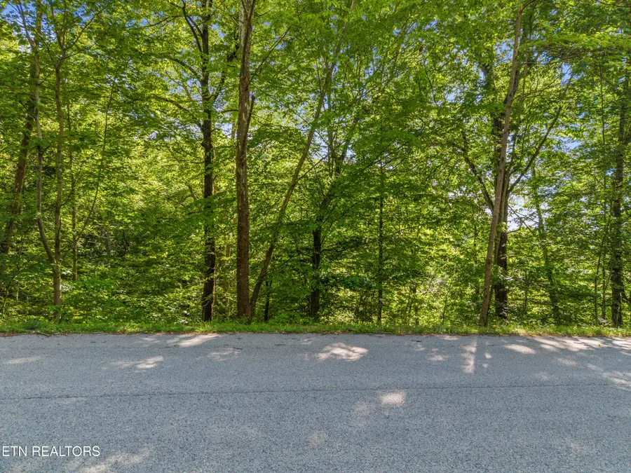 L-156R Garfield Lane, Sharps Chapel, TN 37866 - #2