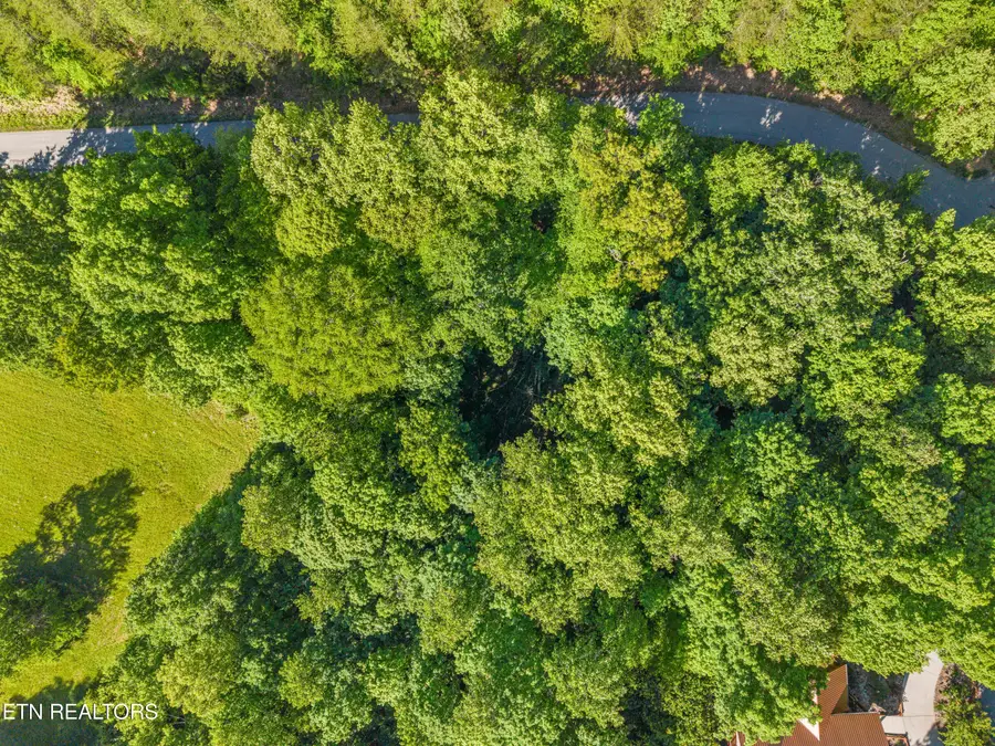 L-156R Garfield Lane, Sharps Chapel, TN 37866 - #3