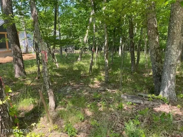 11 Rolling Green Circle, Crossville, TN 38558 - #2