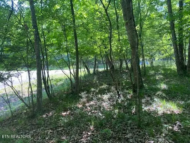 11 Rolling Green Circle, Crossville, TN 38558 - #3