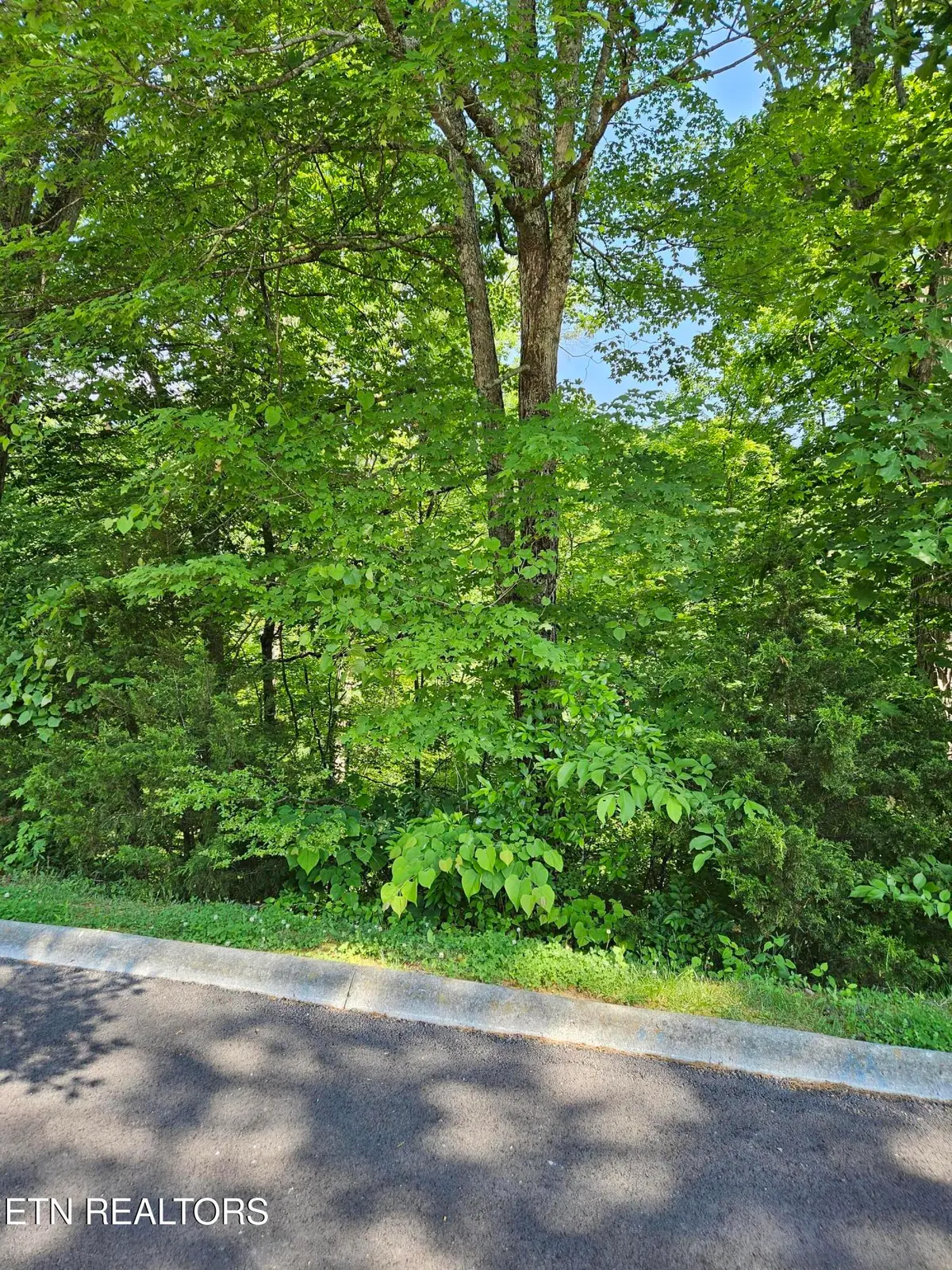 lot 15 Saddleback Way, Sevierville, TN 37862 - #1