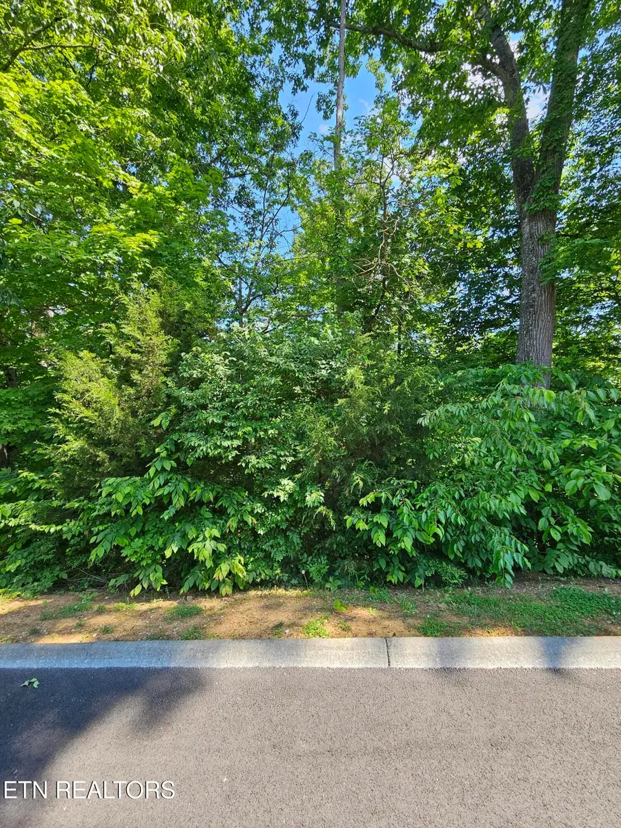 lot 15 Saddleback Way, Sevierville, TN 37862 - #3