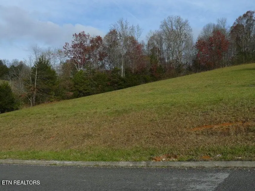 117 Henley St, Tazewell, TN 37879 - #3