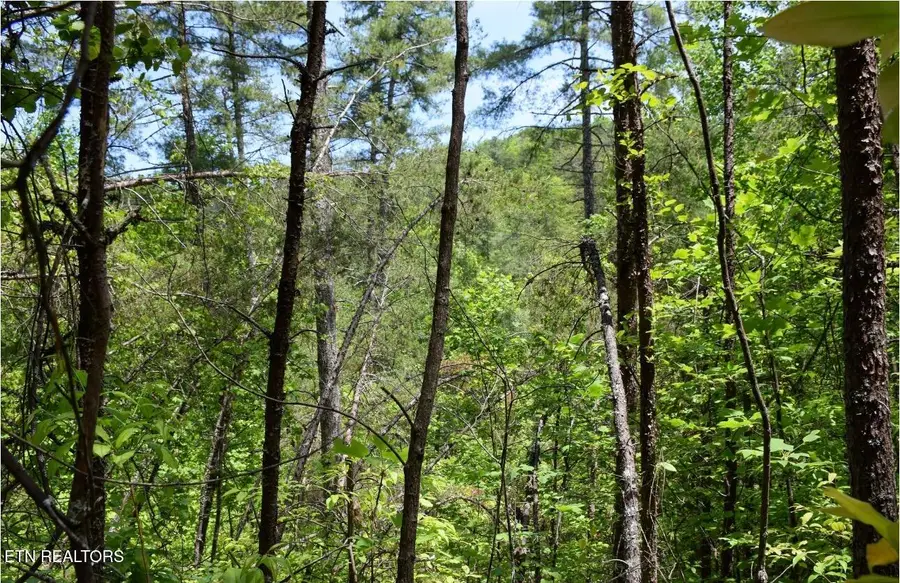 Bryant Hollow Lot 7 Way, Sevierville, TN 37876 - #2