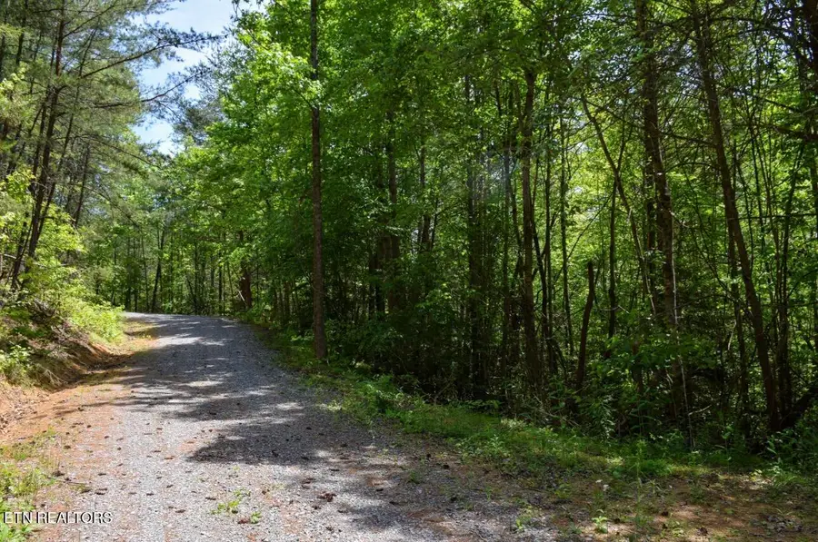 Bryant Hollow Lot 3 Way #066 032.00, Sevierville, TN 37876 - #2