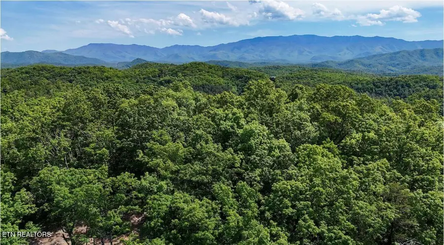 1840 Bryant Hollow Lot 5 Way, Sevierville, TN 37876 - #3