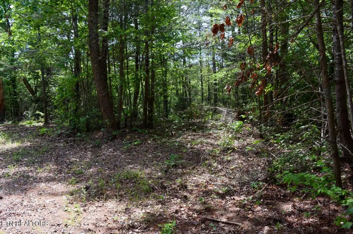 1840 Bryant Hollow Way, Sevierville, TN 37876 - #1