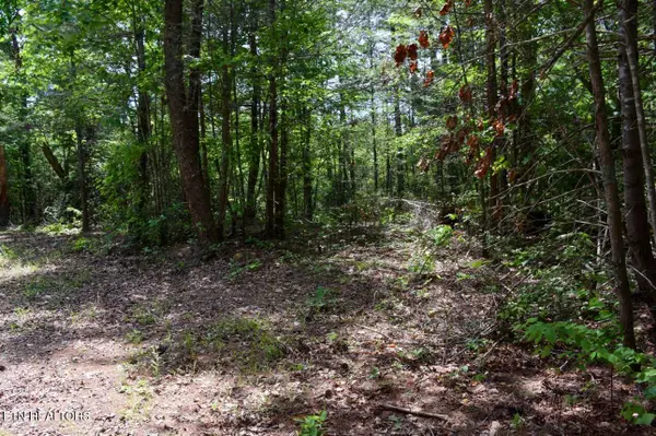 1840 Bryant Hollow Way, Sevierville, TN 37876