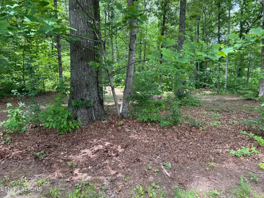 3422 Airport Rd, Rockwood, TN 37854 - #2
